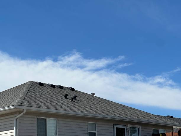 Best Roof Leak Repair  in Pine Prairie, LA